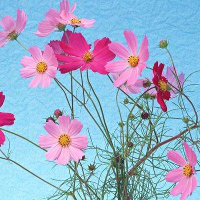 威尼斯澳门人(亚洲)第一品牌