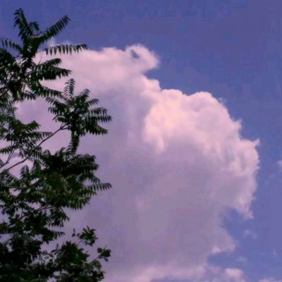 管家婆一码一肖资料手机app下载